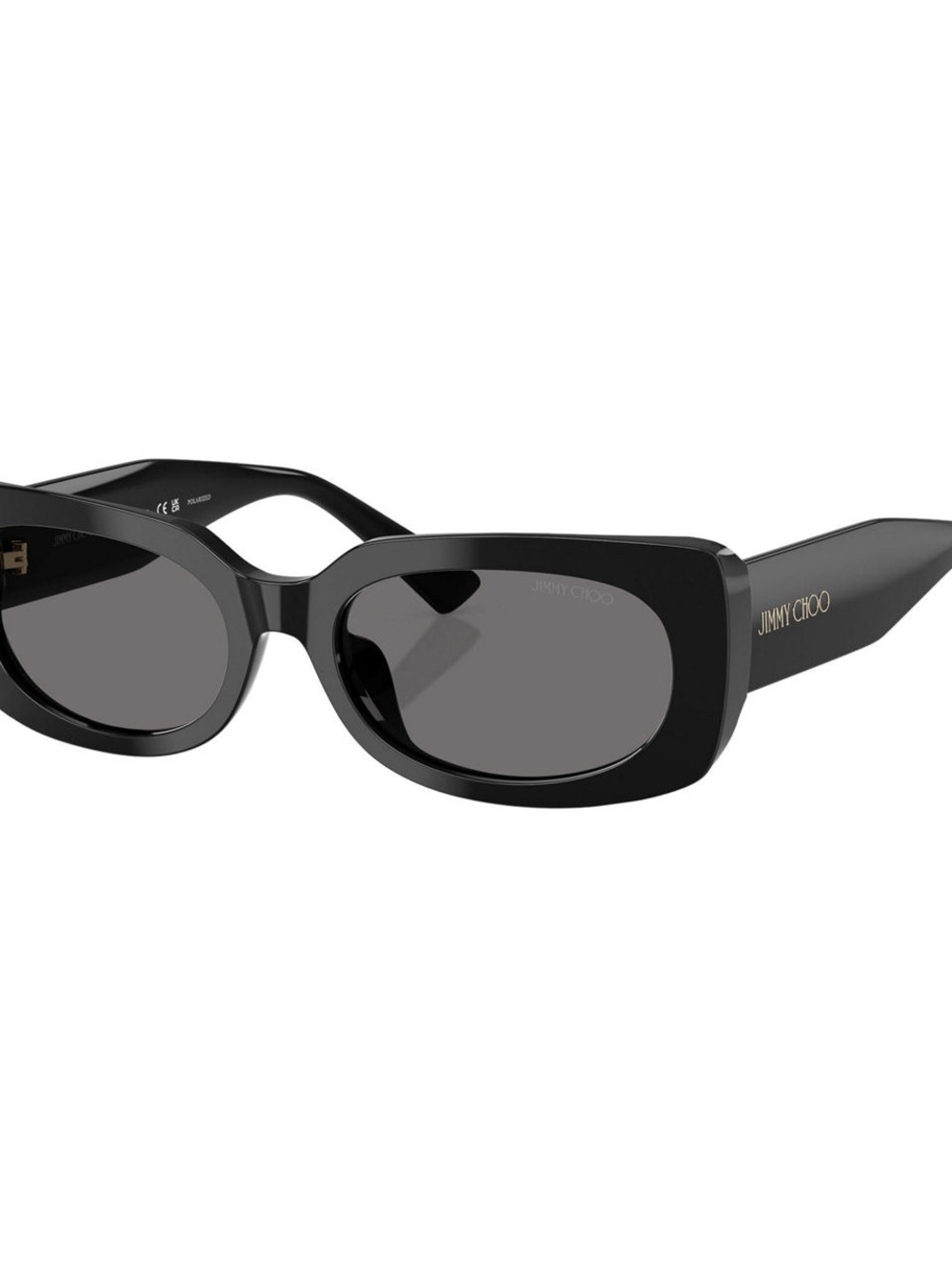 Jimmy Choo Black Oval-Rectangular Sunglasses